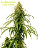 Early Durban