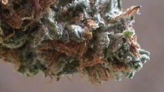 Pot Of Gold