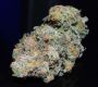 Blue Dream